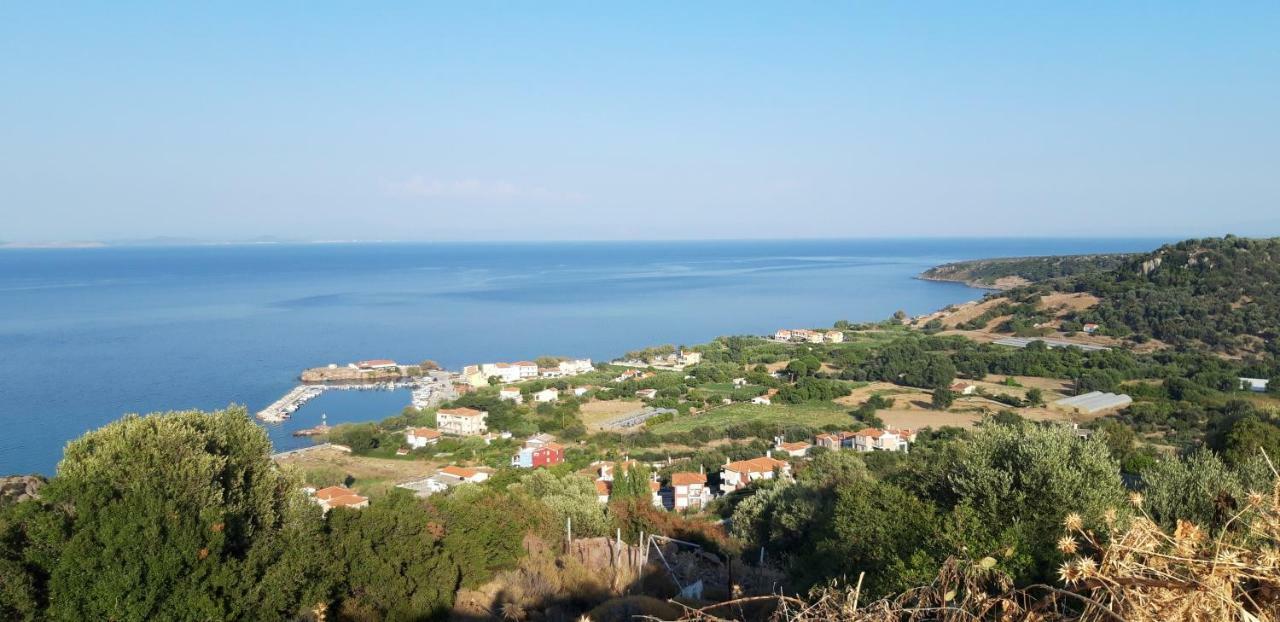 Fotis Apartments Skala Neon Kydonion Esterno foto